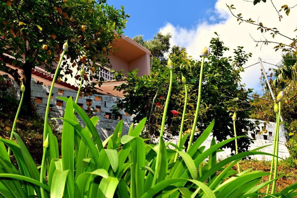Eden Sea View Studios Mesongí Zewnętrze zdjęcie